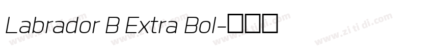 Labrador B Extra Bol字体转换